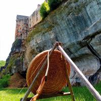 Tir à l'arc en pleine nature