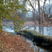Au petit matin dans la nature